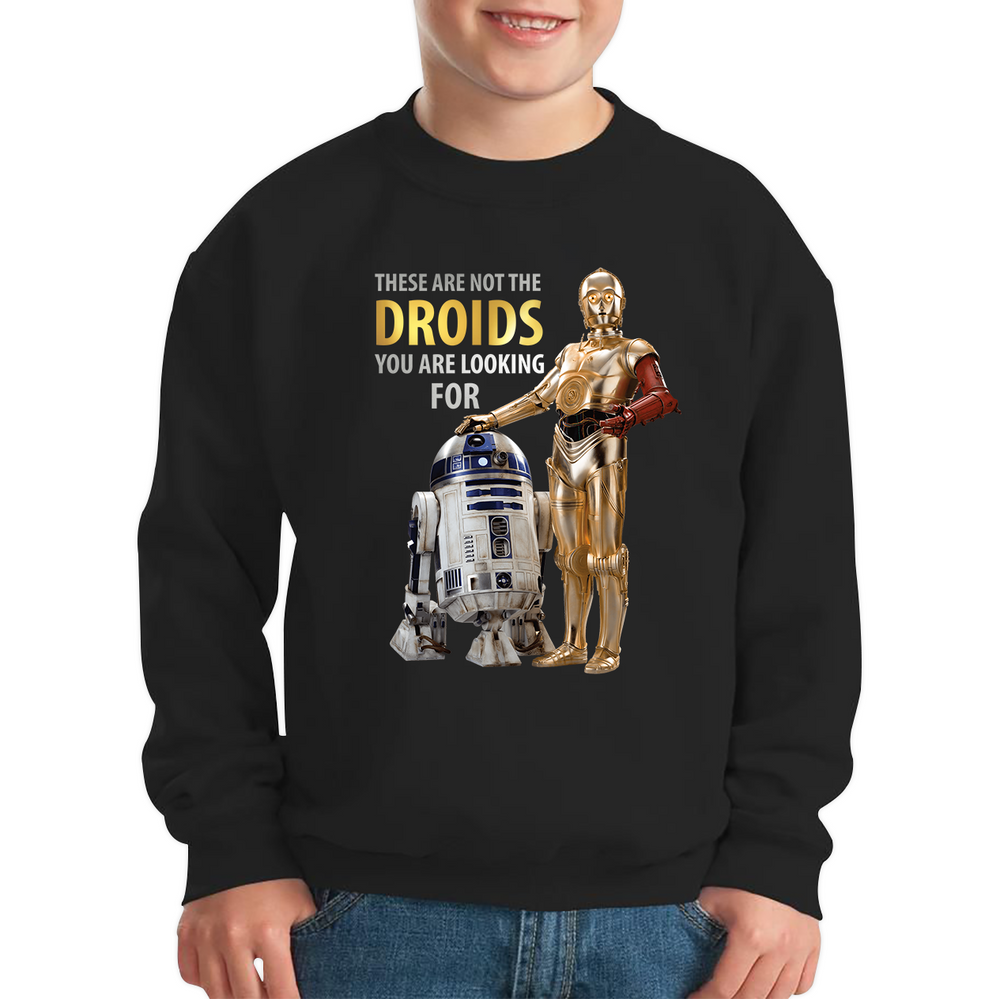 R2-D2 and C-3PO: These Are the Droids You're Looking For