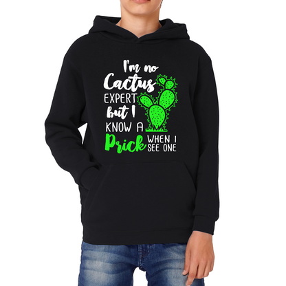 I'm No Cactus Expert But I Know A Prick When I See One Hoodie