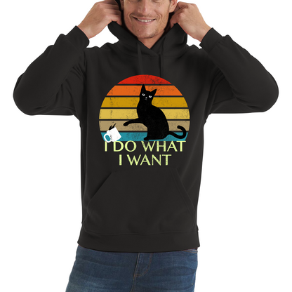 Black Cat I Do What I Want Vintage Hoodie