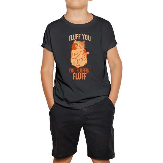 Fluff You You Fluffin Fluff Cat Funny T Shirt