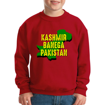 Kashmir Banega Pakistan Stand With Kashmir Jumper