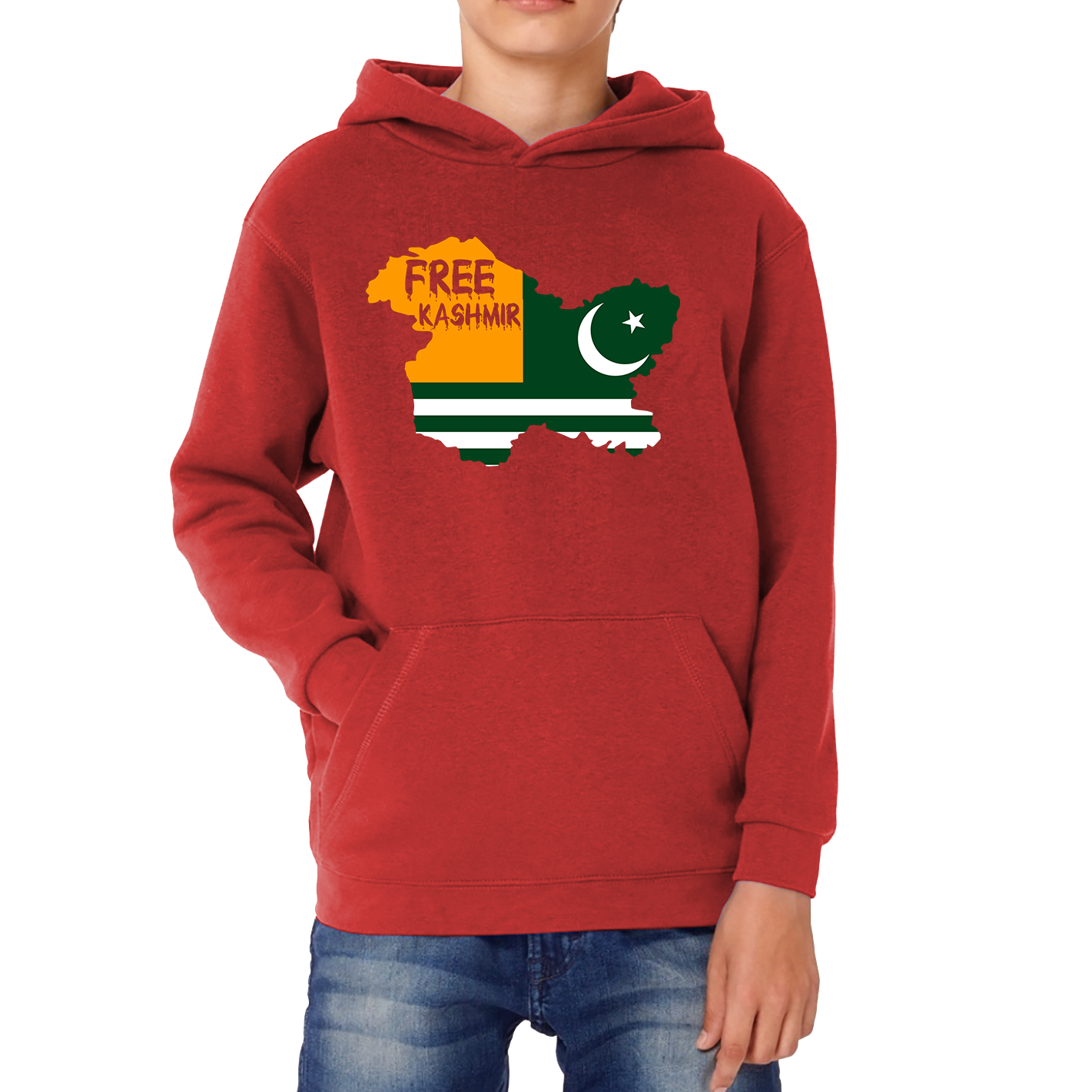 Free Kashmir From India Hoodie